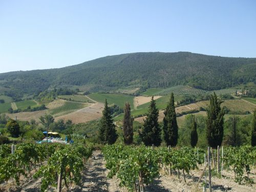 tuscany nature italy