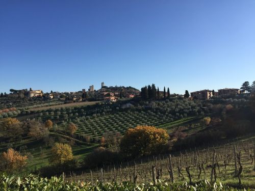 tuscany italy vineyard