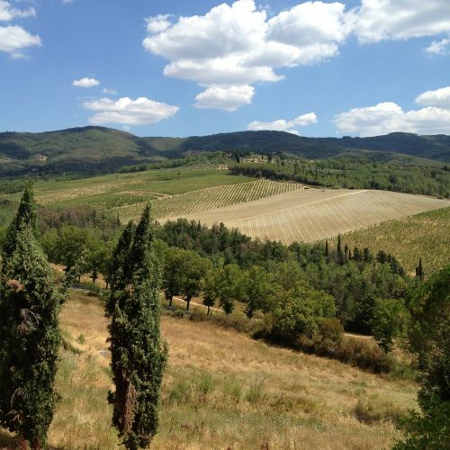 tuscany field landscape