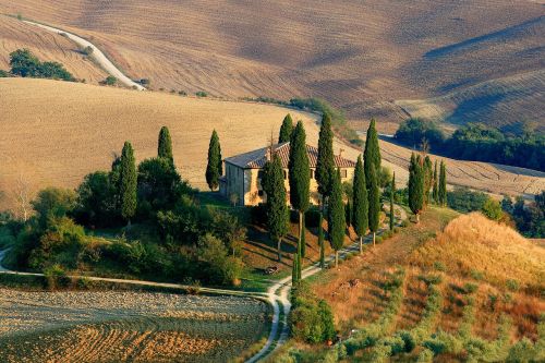 tuscany landscape cypress