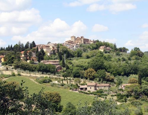 tuscany wine landscape