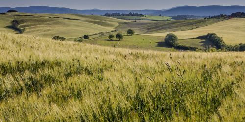 tuscany italy landscape