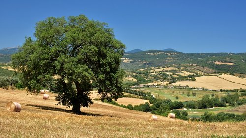 tuscany  saturnia  maremma