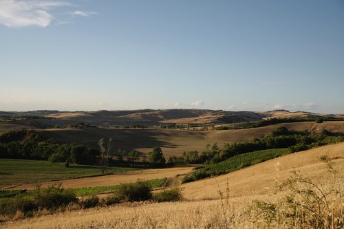 tuscany  field  italy