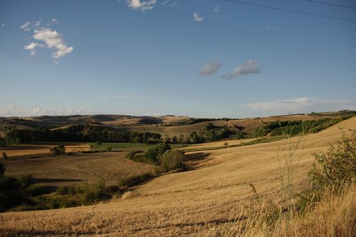 tuscany  field  fields