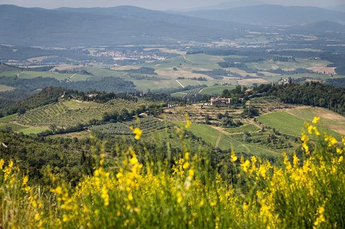 tuscany  italy  outdoors