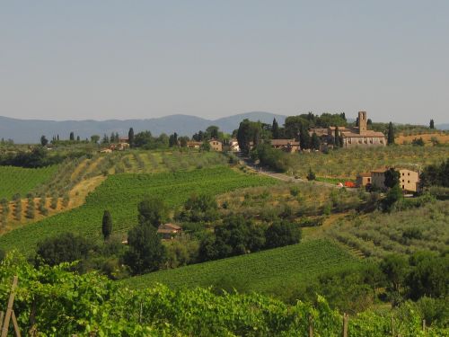tuscany agriculture winegrowing