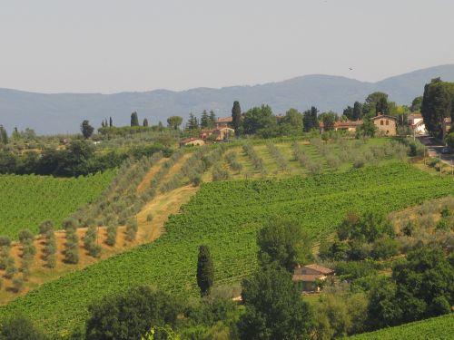tuscany agriculture hill