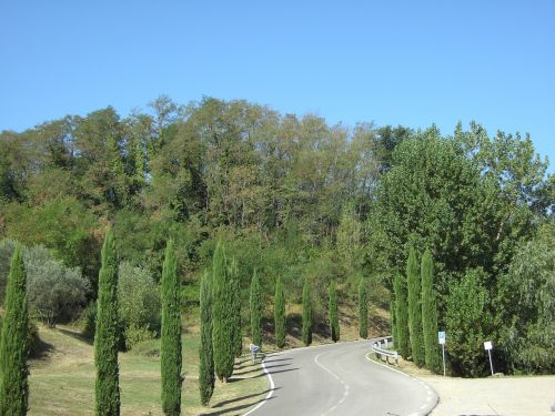 tuscany italy cypress