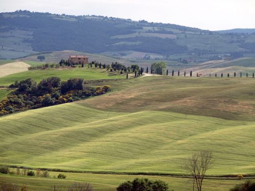 tuscany hill landscape