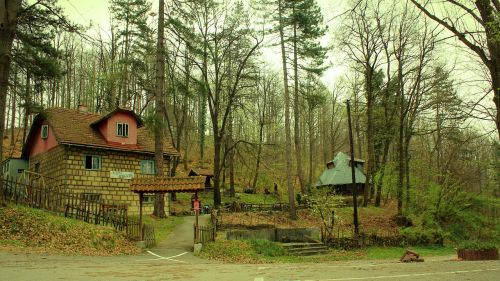 tuzla bosnia forest