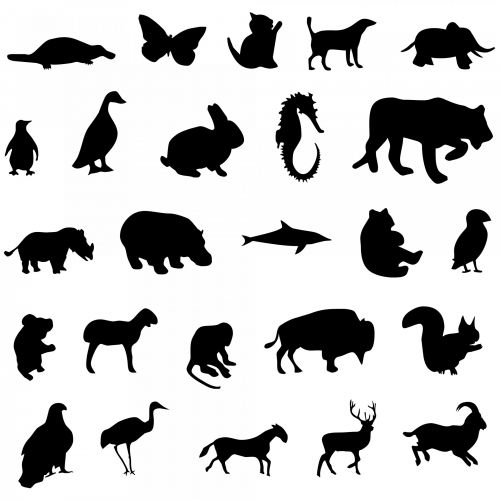 Twenty Five Animals