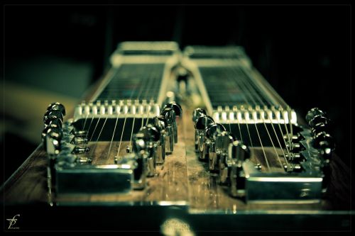 twenty strings macro steel-guitar