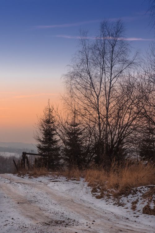 twilight sunset winter landscape