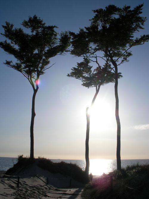 twilight beach baltic sea