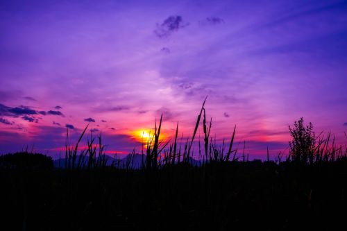 twilight rainbow field