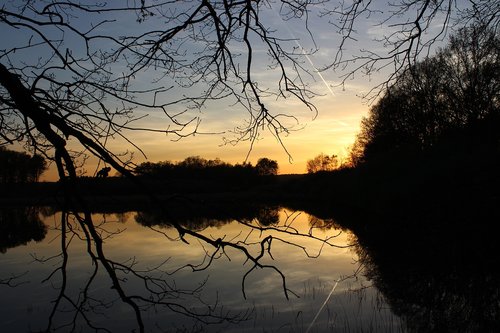 twilight  sunset  horizon