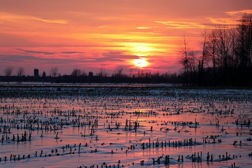 twilight  sunset  landscape