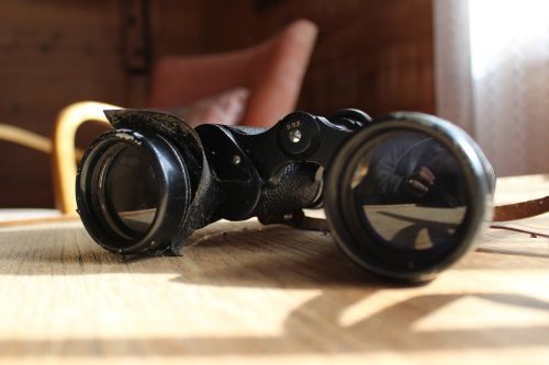 twins object binoculars