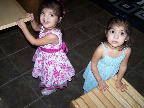 twins toddler girls