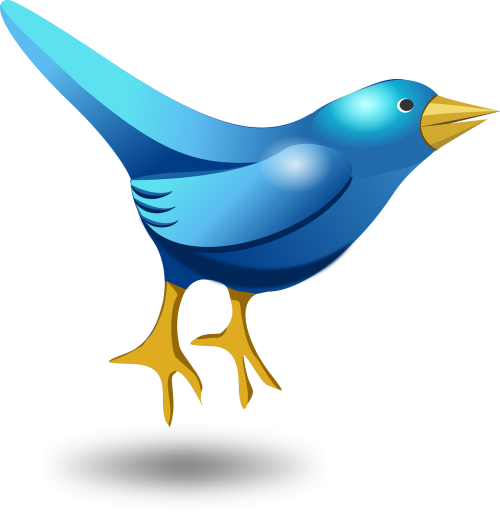 twitter tweet bird