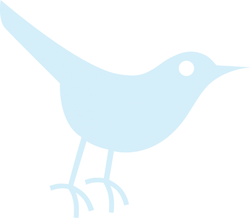twitter tweet bird