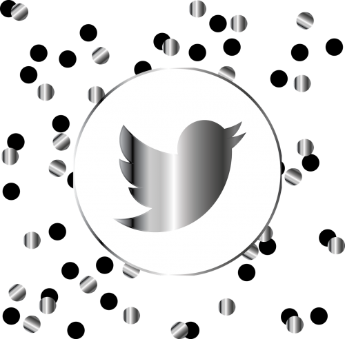 twitter silver icon