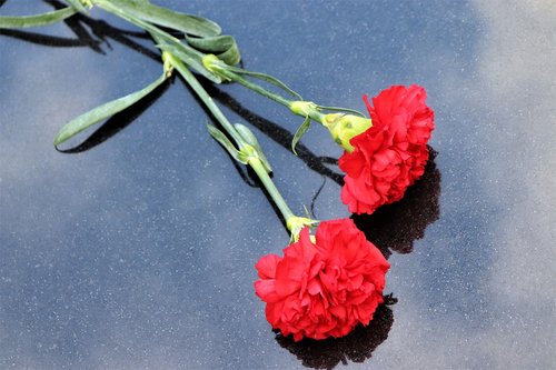 two red carnations  black marble  symbol