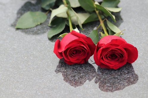 two red roses  love symbol  gravestone