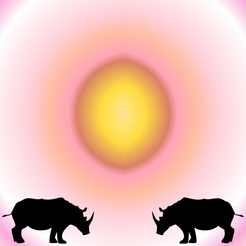 Two Rhinos