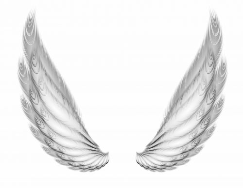 Two Wings