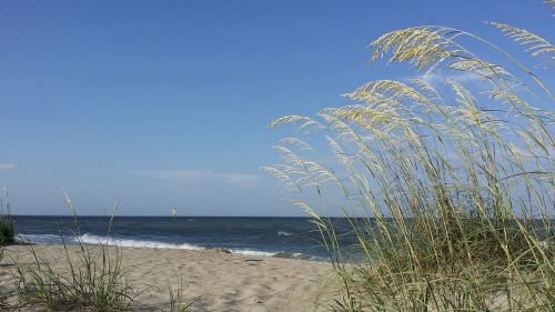 tybee beach georgia