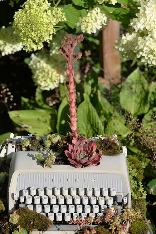 typewriter planted gartendeko
