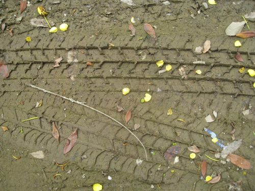 tyre tracks tracks marks