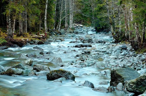 tyrol  kelchsau  austria