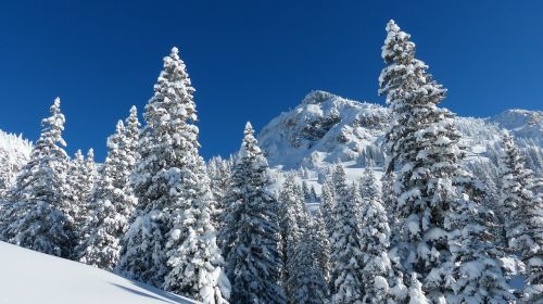 runners head winter backcountry skiiing