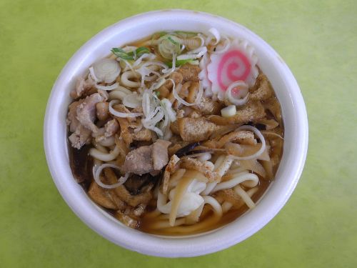 udon soup bowl