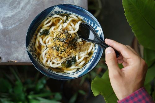 udon noodles soup