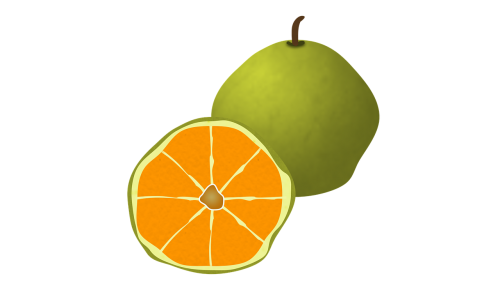 ugli fruit fruit citrus