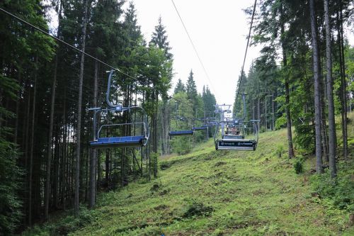 ukraine travel woods