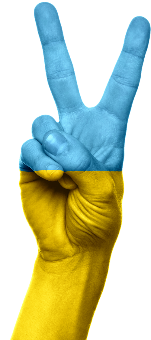 ukraine flag hand
