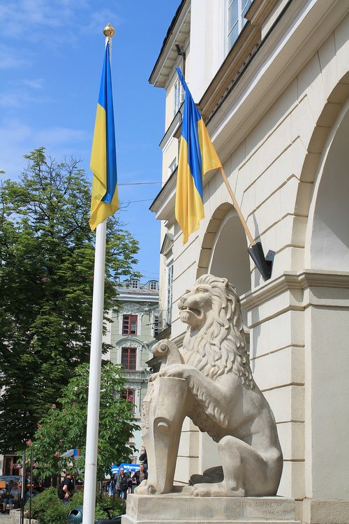 ukrainian flag  ukraine  lviv