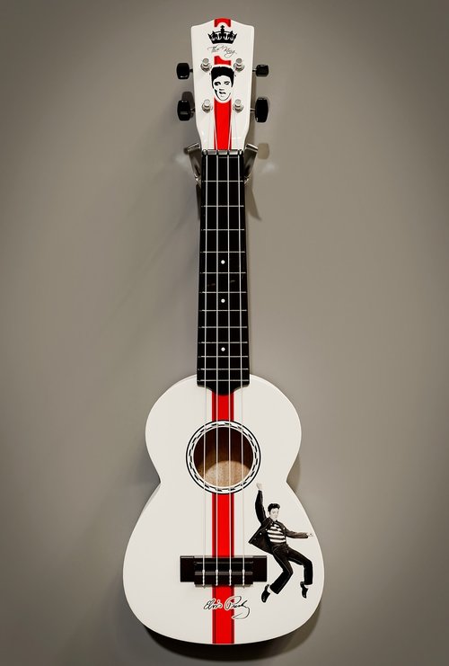 ukulele  white  black