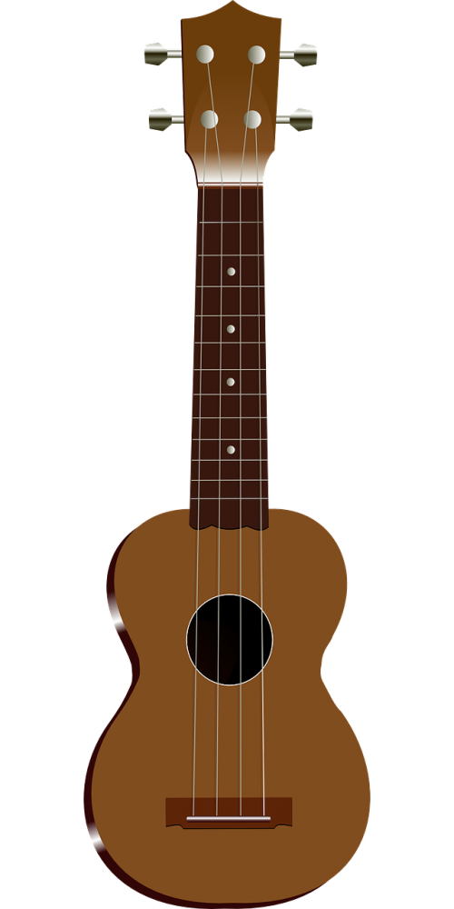 ukulele instrument string