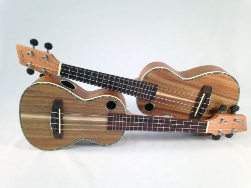 ukulele musical instrument fretted instrument