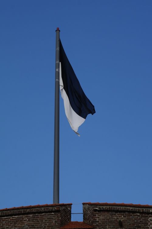 ulm city flag flag