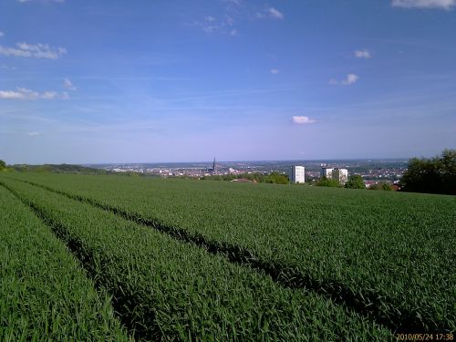 ulm field view