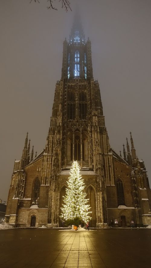 ulm cathedral christmas tree illuminated