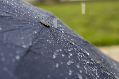 umbrella rain water