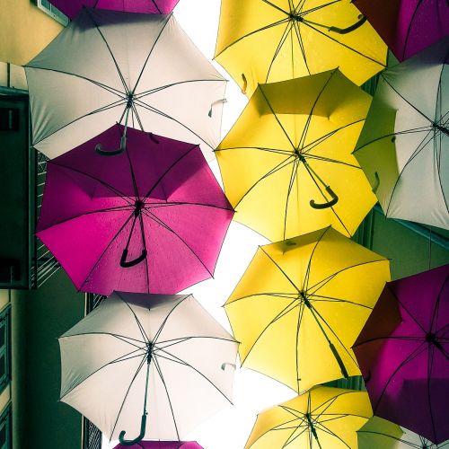 umbrella umbrellas rain